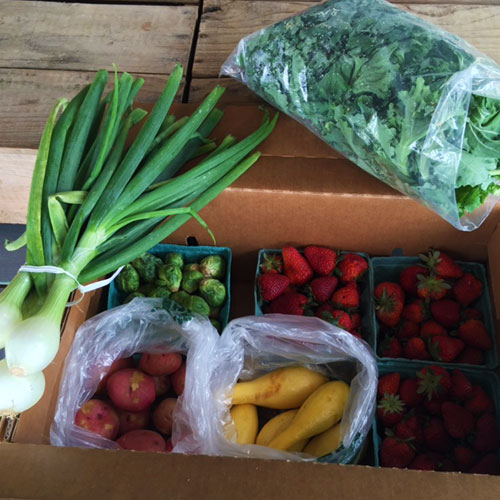 Join the Jones Orchard CSA program for farm fresh produce!